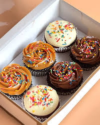 Cupcake Box
